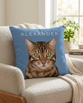 Color Print Pillow